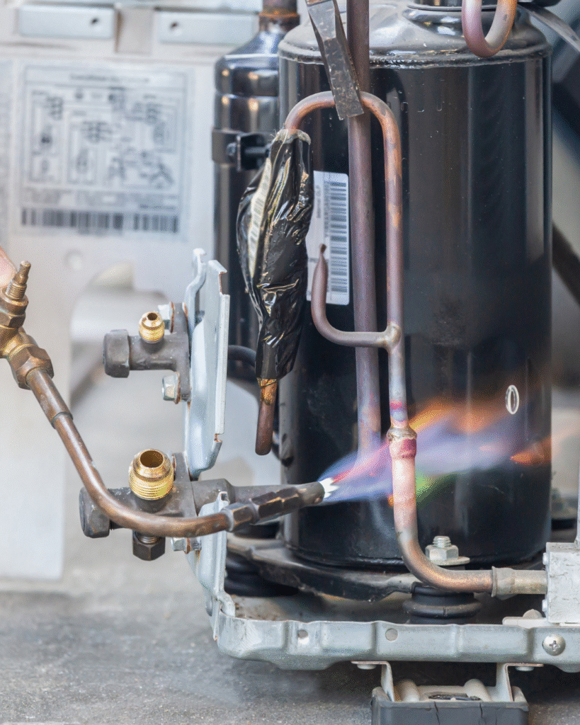 your paragraph text (5)